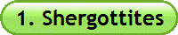 1. Shergottites